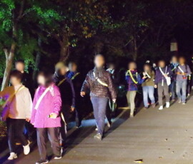 ナイトウォーク